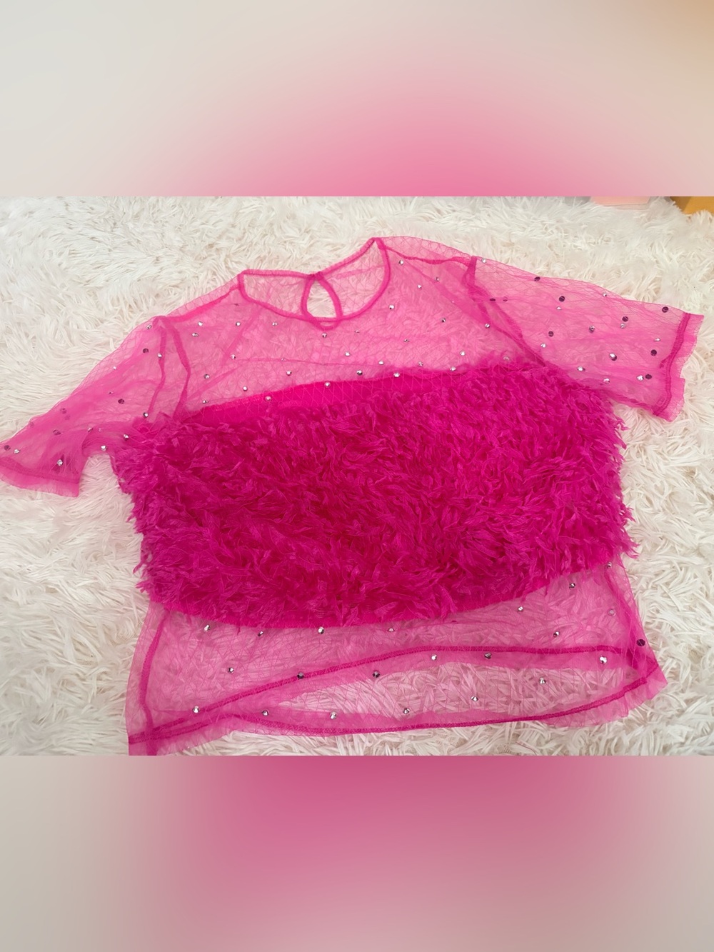 Hot Pink Sheer Mesh Top with Fuzzy Crop Panel - Picture 4 of 4
